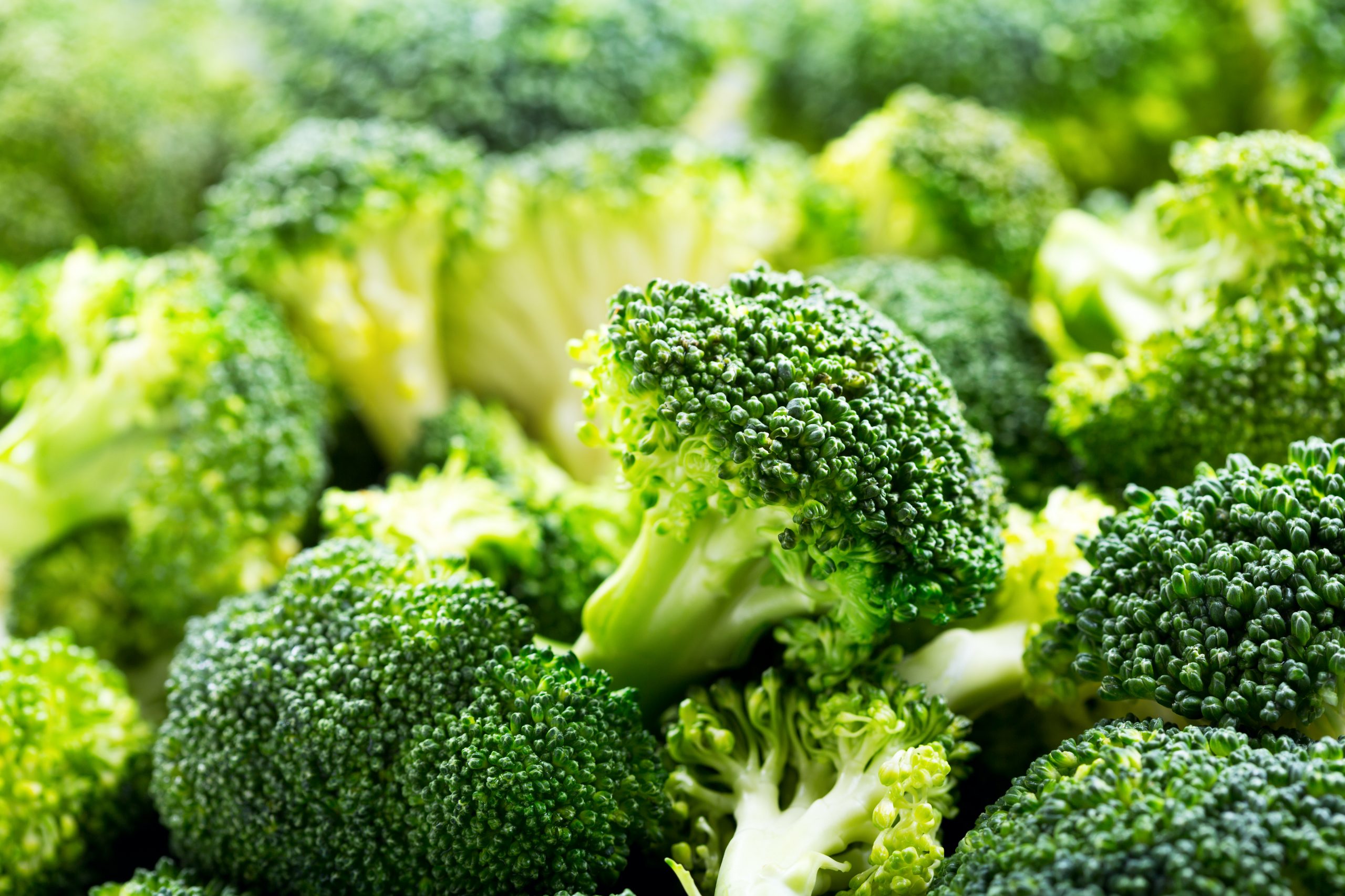 fresh broccoli as abstract background