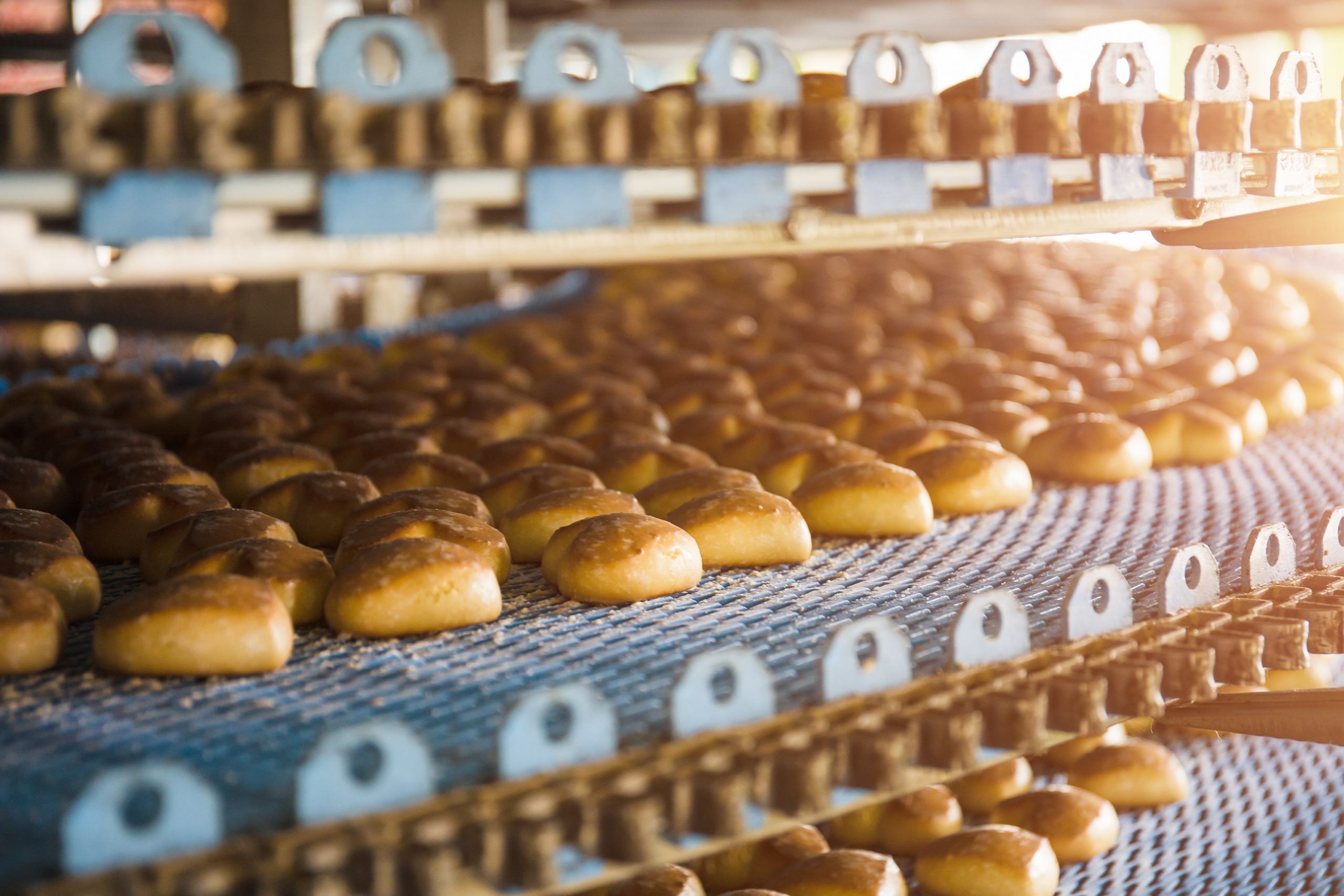Cakes on automatic conveyor belt or line, process of baking in confectionery culinary factory or plant. Food industry, cookie and other sweet breadstuff production, toned, close up